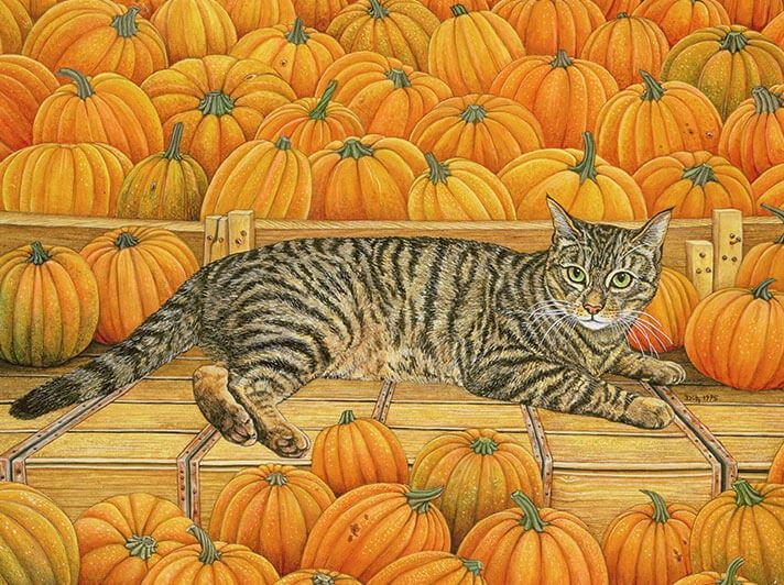 GC Ditz The Pumpkin Cat 1995 (12)