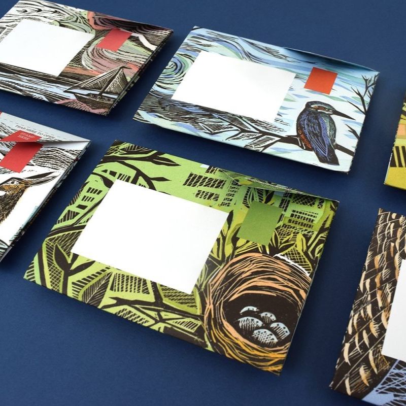 WS Wonderfully Wild Pigeon, Folding Letter Set – Pack of 6 Letters