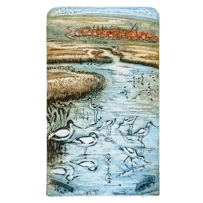 GC Avocets