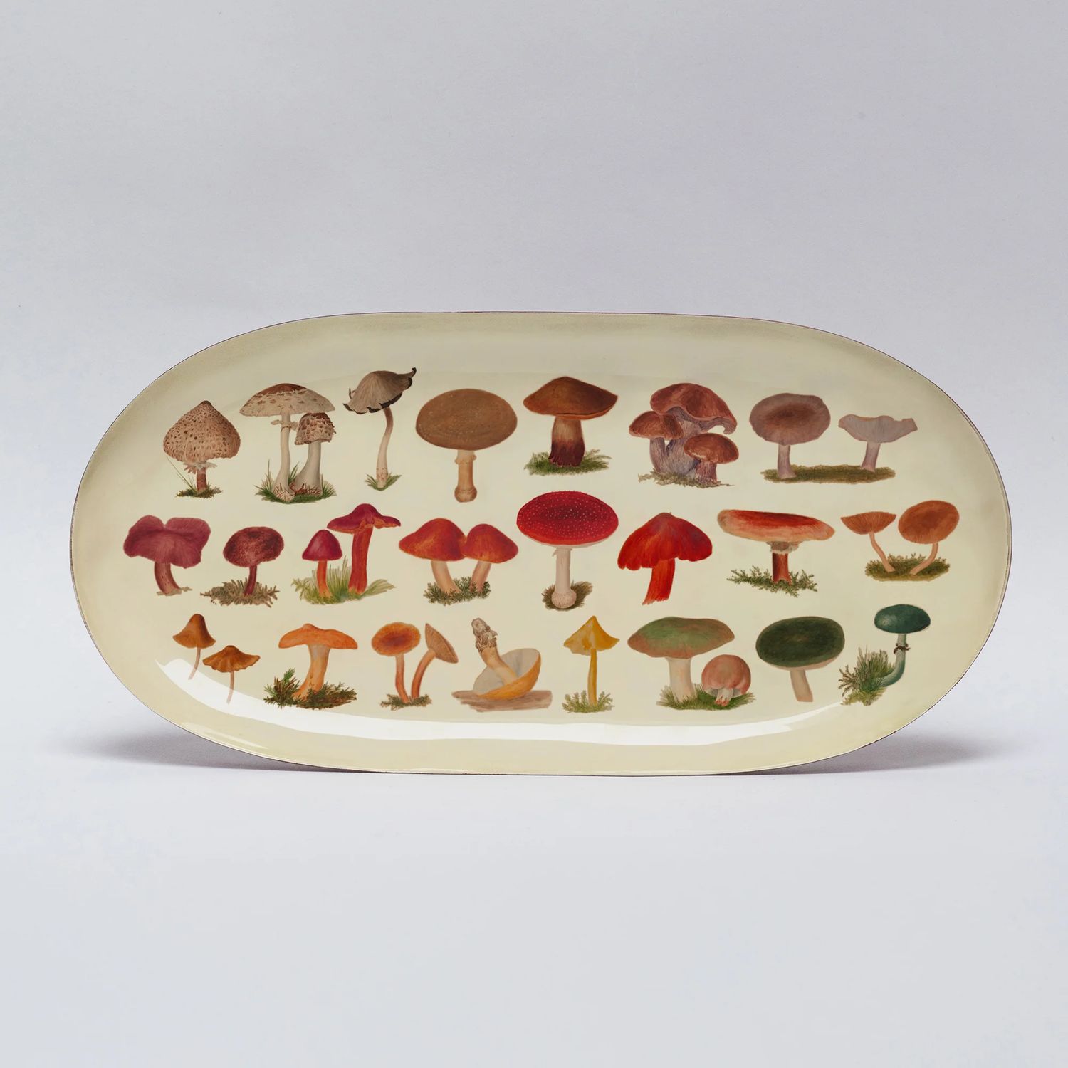 GF Fungi Printed Enamel Tray - Oval