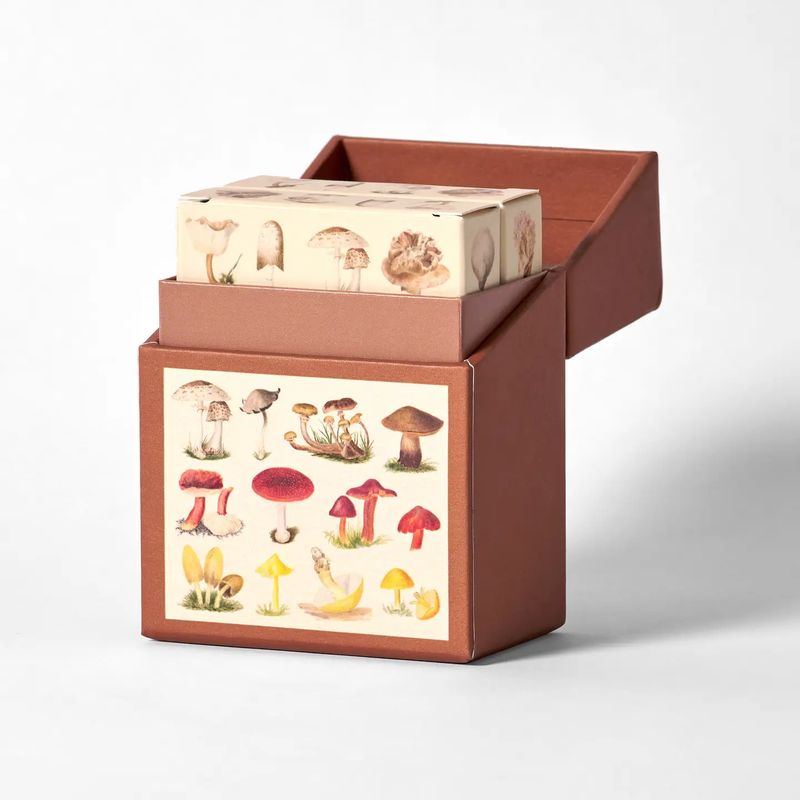 PL Fungi Two Deck Playing Card Set