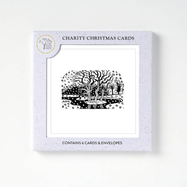 GCX AGBI CHRISTMAS CARD PACK – Snow Scene