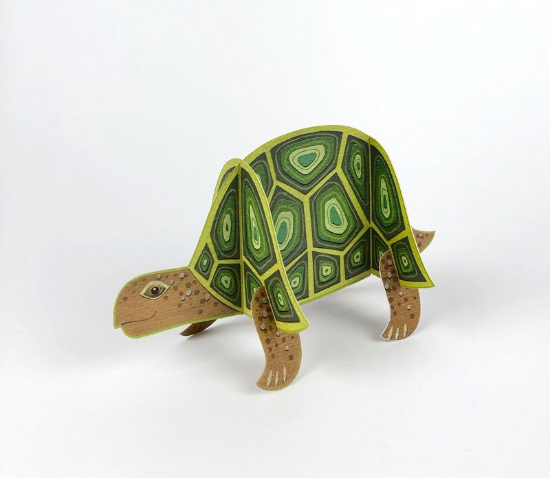 GC Pop-out Tortoise (12)