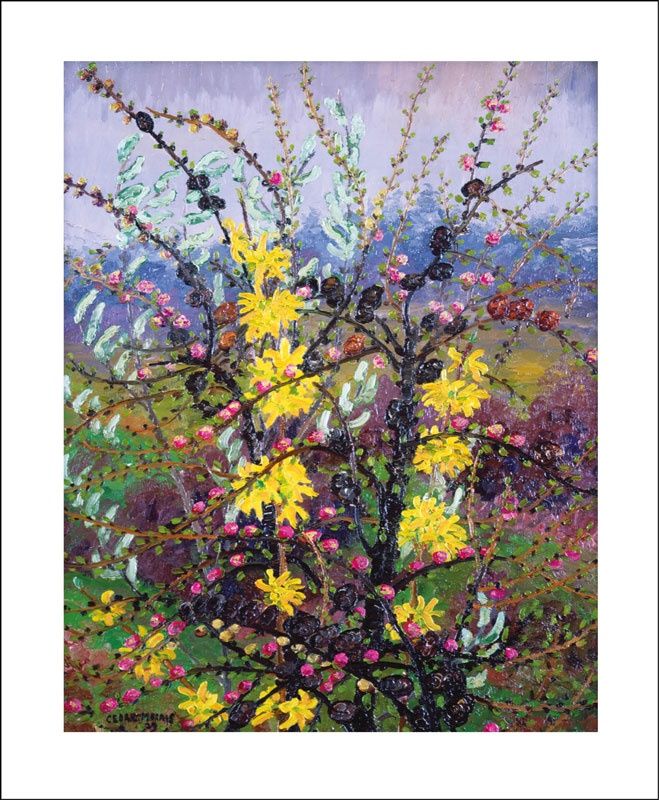 GC Shrubs (12)
