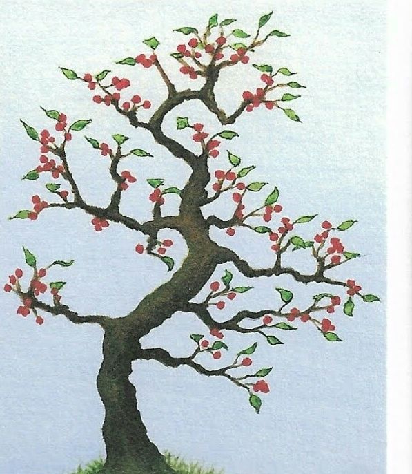 GC FSC Bonsai (1)