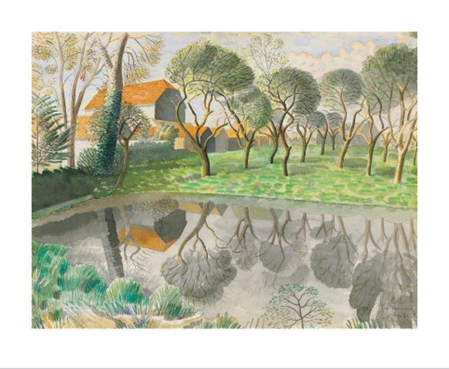 GC Newt Pond (12)