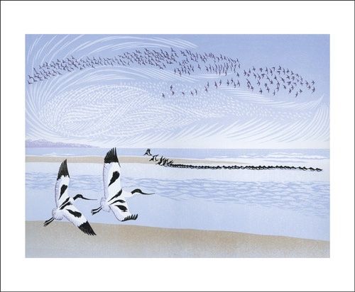 GC Tide Rising (12)