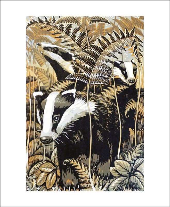 GC Badgers (12)