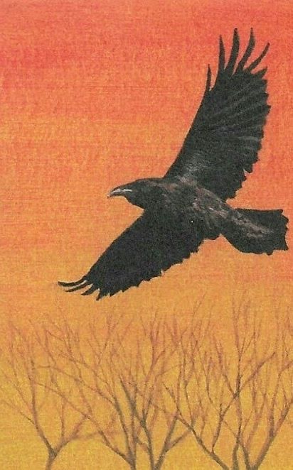 GC FSC Raven (1)