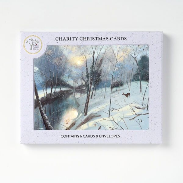 GCX AGBI CHRISTMAS CARD PACK – Winter Morning