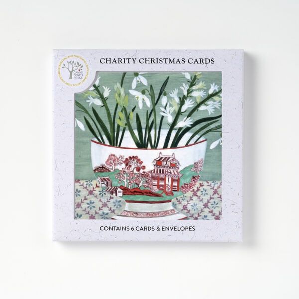 GCX AGBI CHRISTMAS CARD PACK – Snowdrops in Bowl (3)