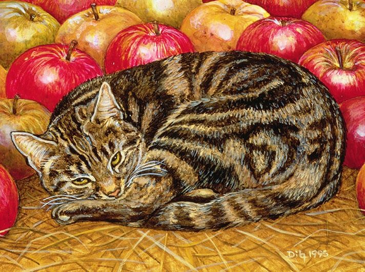 GC Ditz Right Hand Apple Cat 1995 (12)