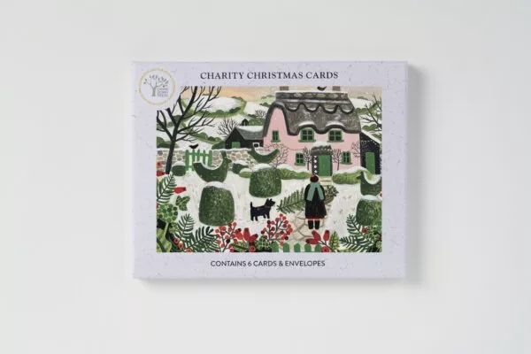 GCX AGBI CHRISTMAS CARD PACK – Pink Cottage and Snowy Topiary