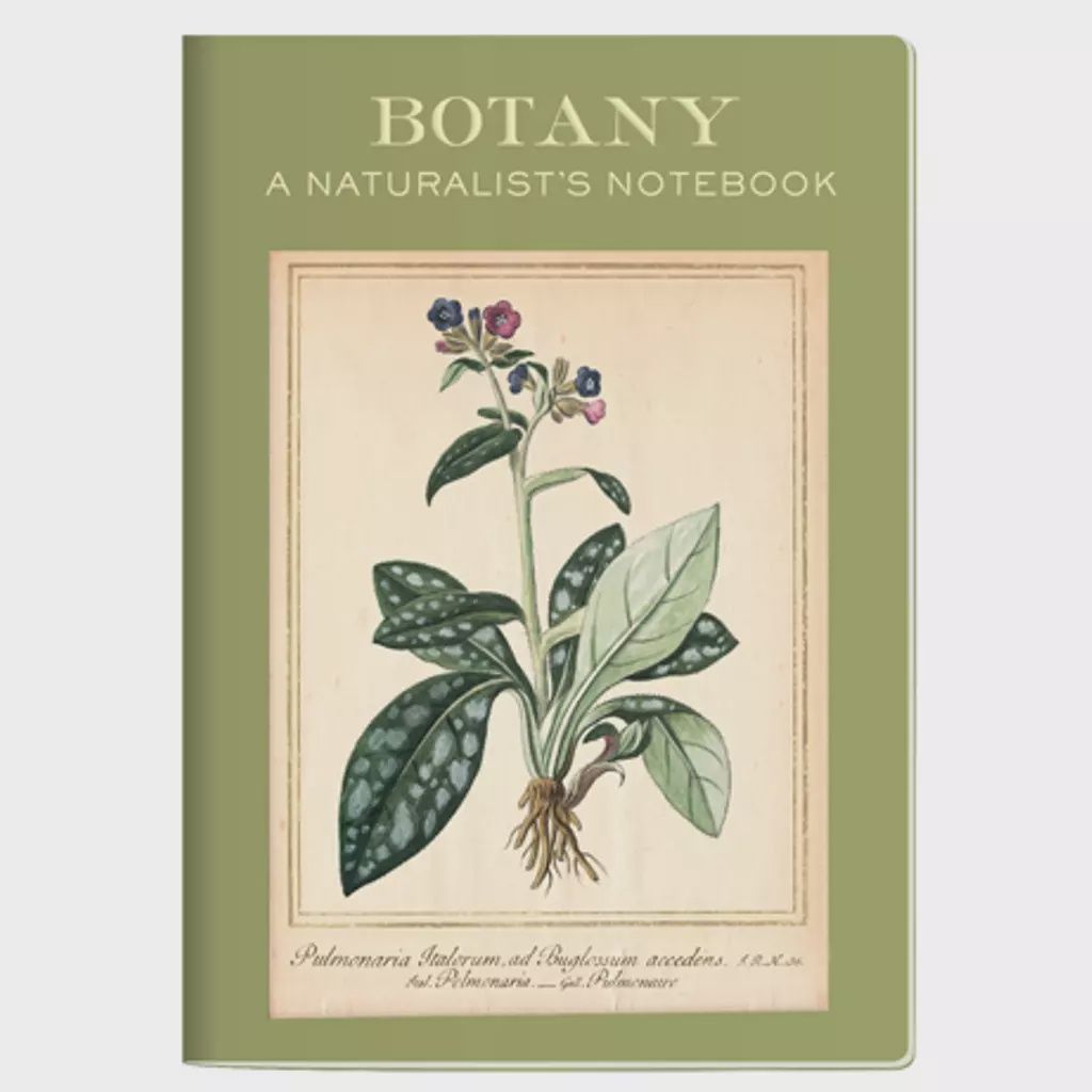 NotebookBotanyUPG5363 (6)