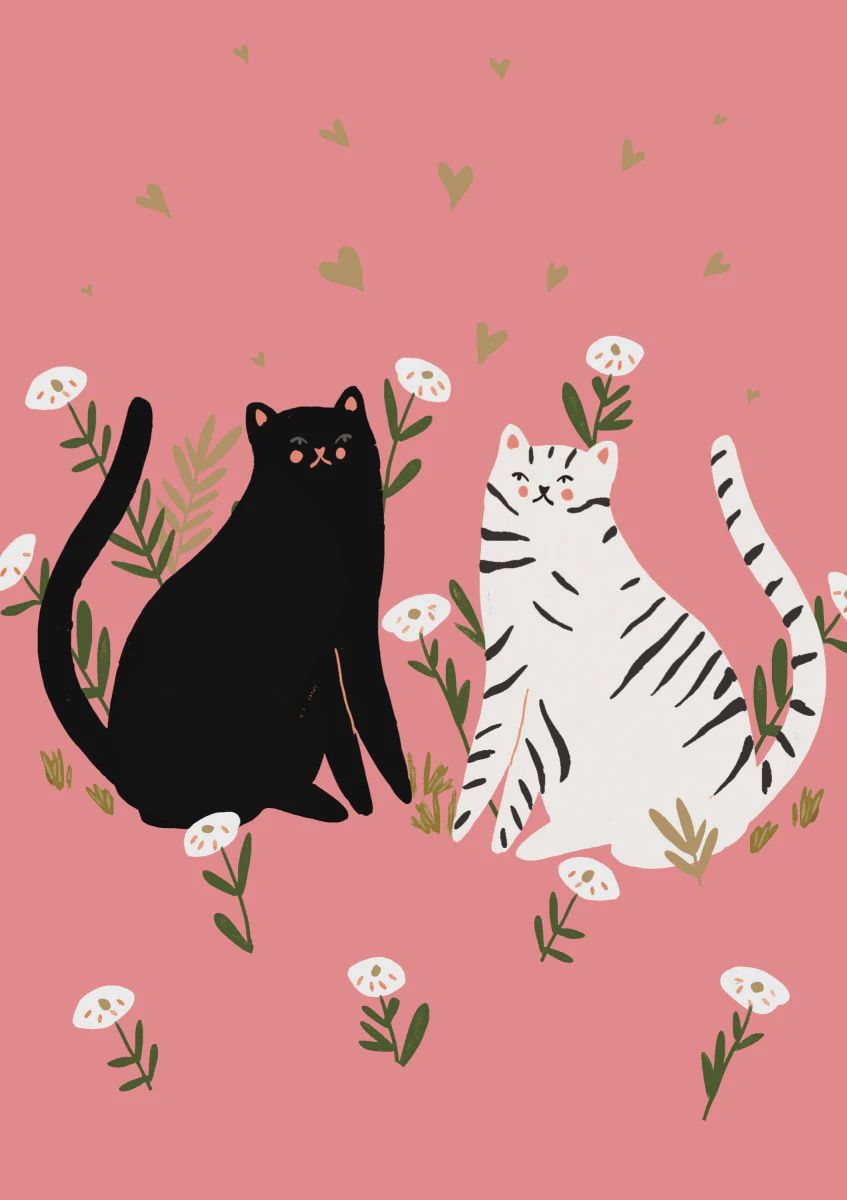 GCV CINNAMON AND GINGER CAT