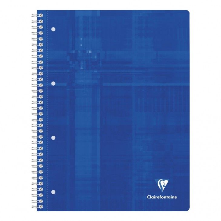 NB Wirebound Clairefontaine Squared A4