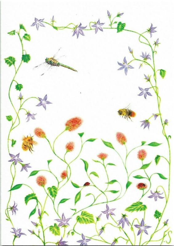 GC FSC Dragonfly &amp; Bees (1)