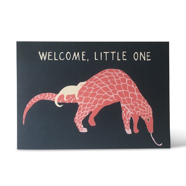 GCO Baby Pangolin (12)