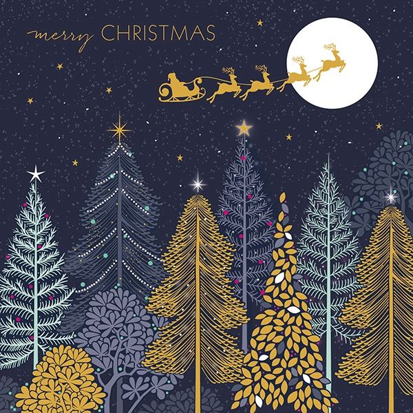 XGCX Luxury Sleigh (8)
