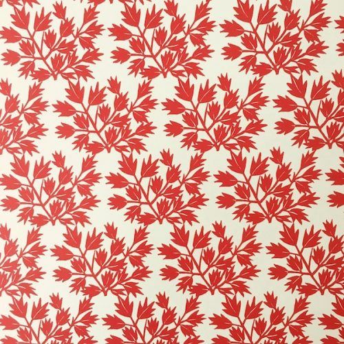 XGW Paper Ditchling Leaf Camb (25)