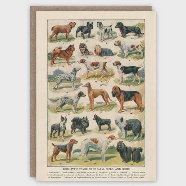 GC Dog Breeds Greeting Card