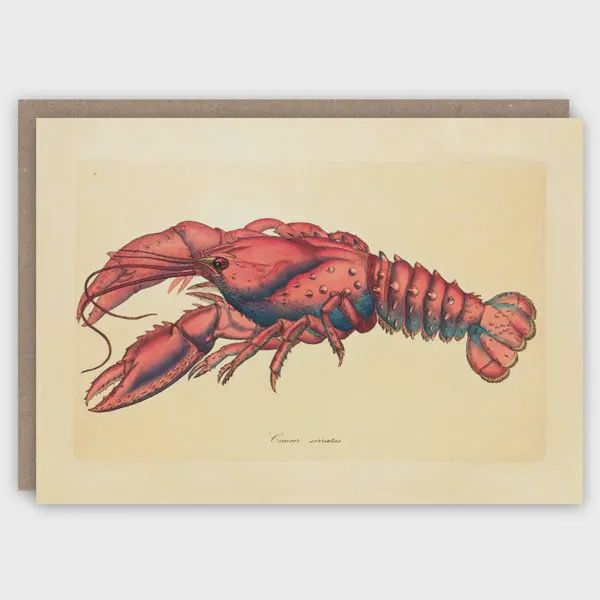 GC Lobster Greeting Card