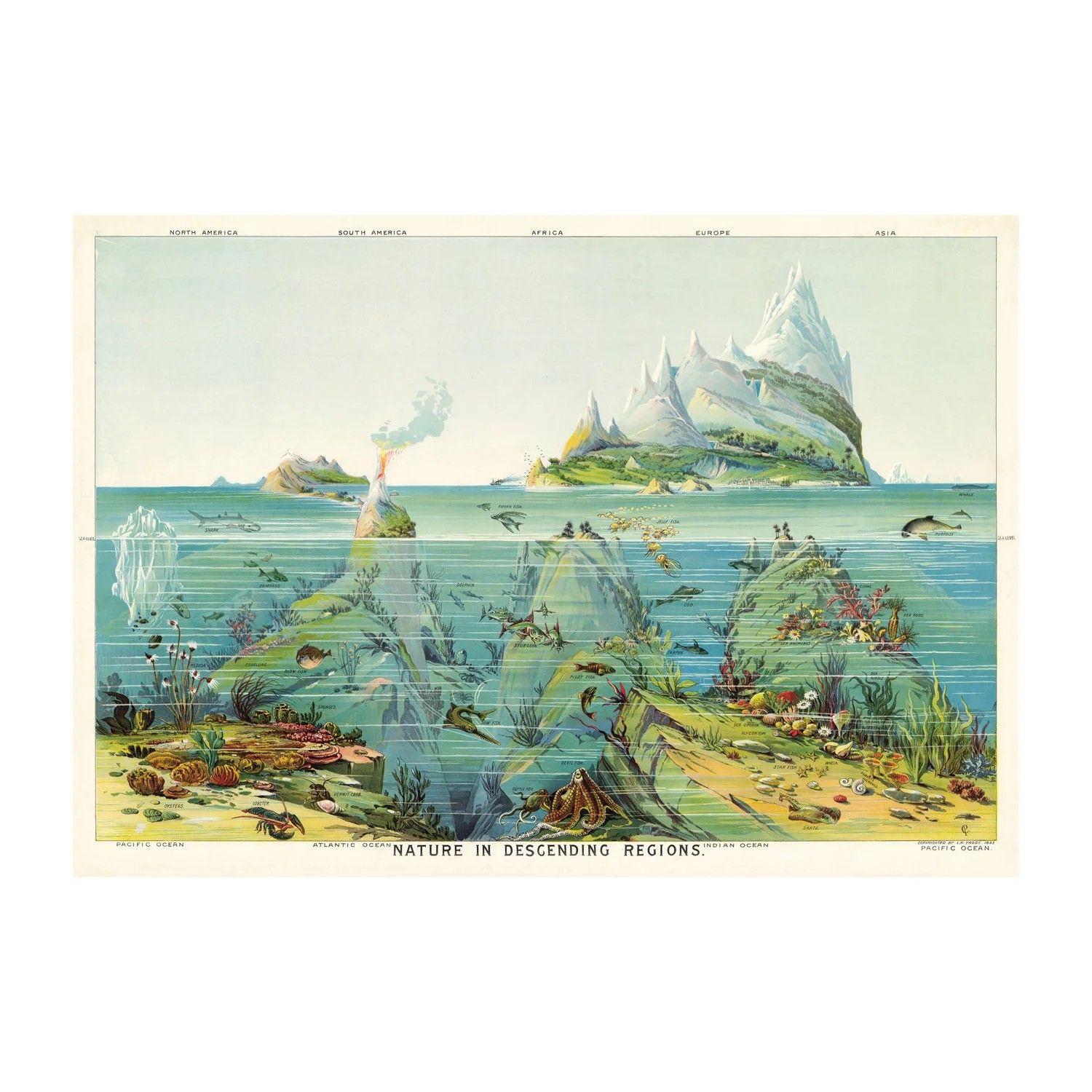 GW Nature in Descending Regions Poster Wrap
