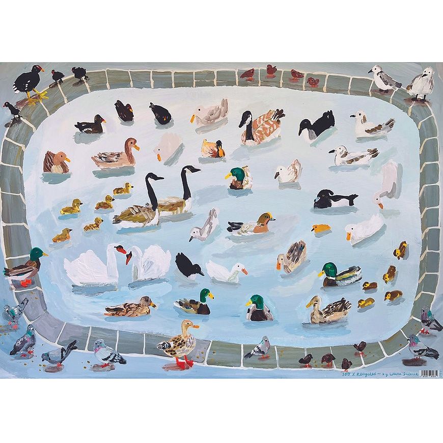 GW Duck Pond Gift Wrap