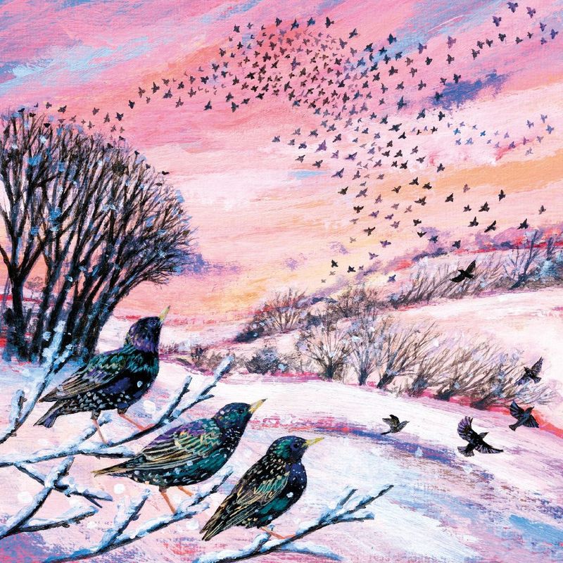 GCX Winter Murmurations Large Classic Christmas Card  - Pack of 5