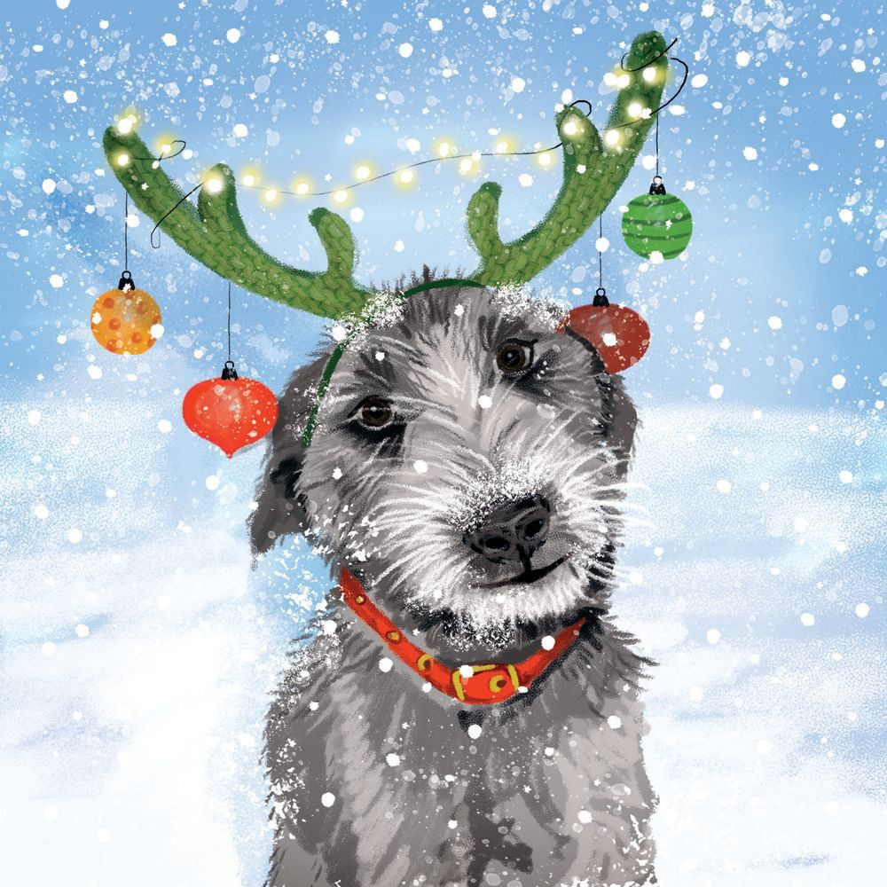 GCX Reindog Small Macmillan Christmas Cards - Pack of 6