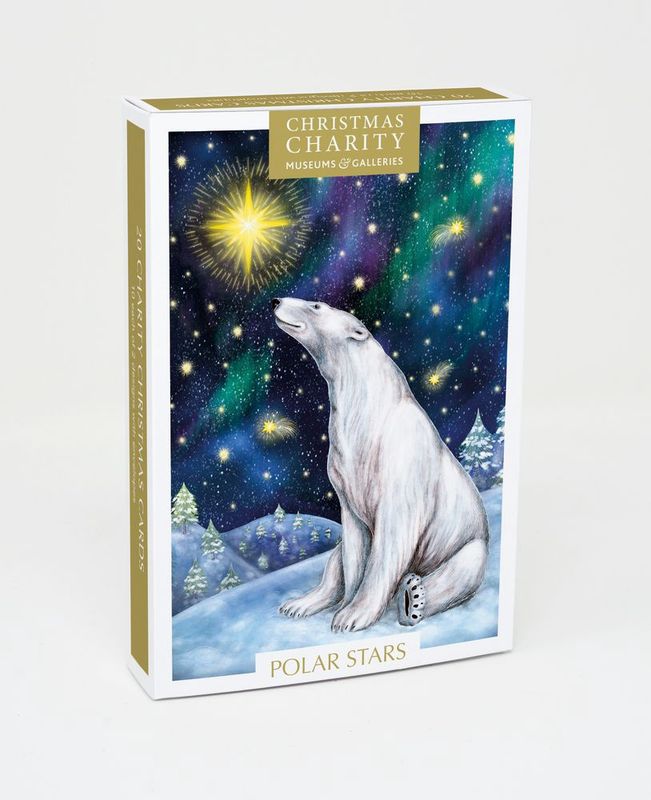 GCX Stargazing Small Rectangular Boxed Christmas Cards - 20 Cards
