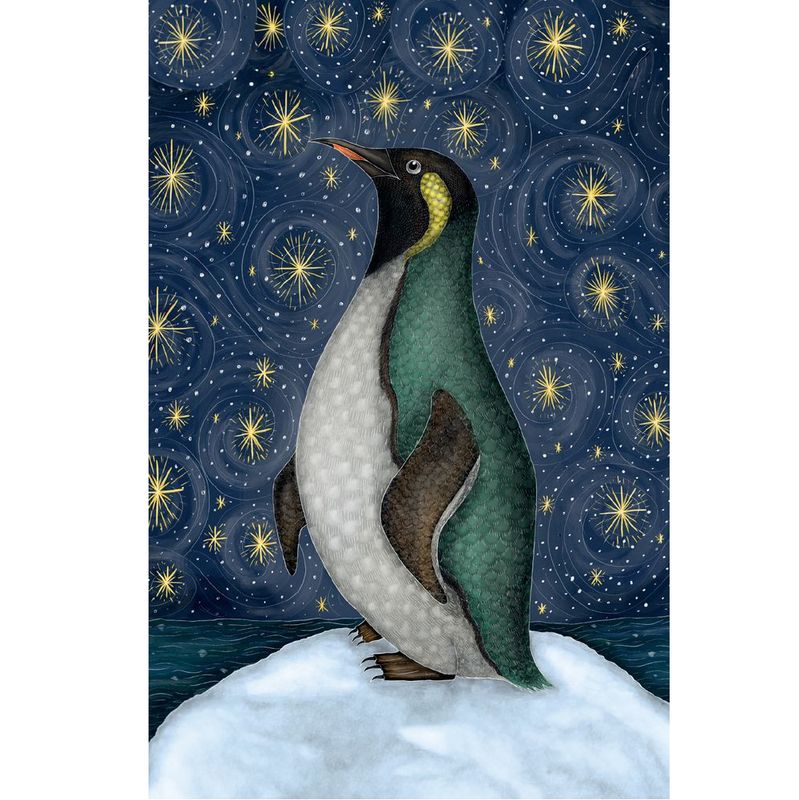 GCX Stargazing Small Rectangular Boxed Christmas Cards - 20 Cards