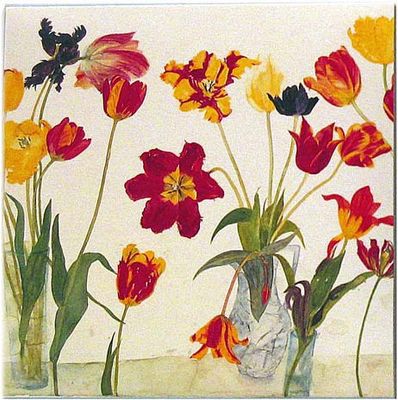 NC elizabeth blackadder Purple Irises