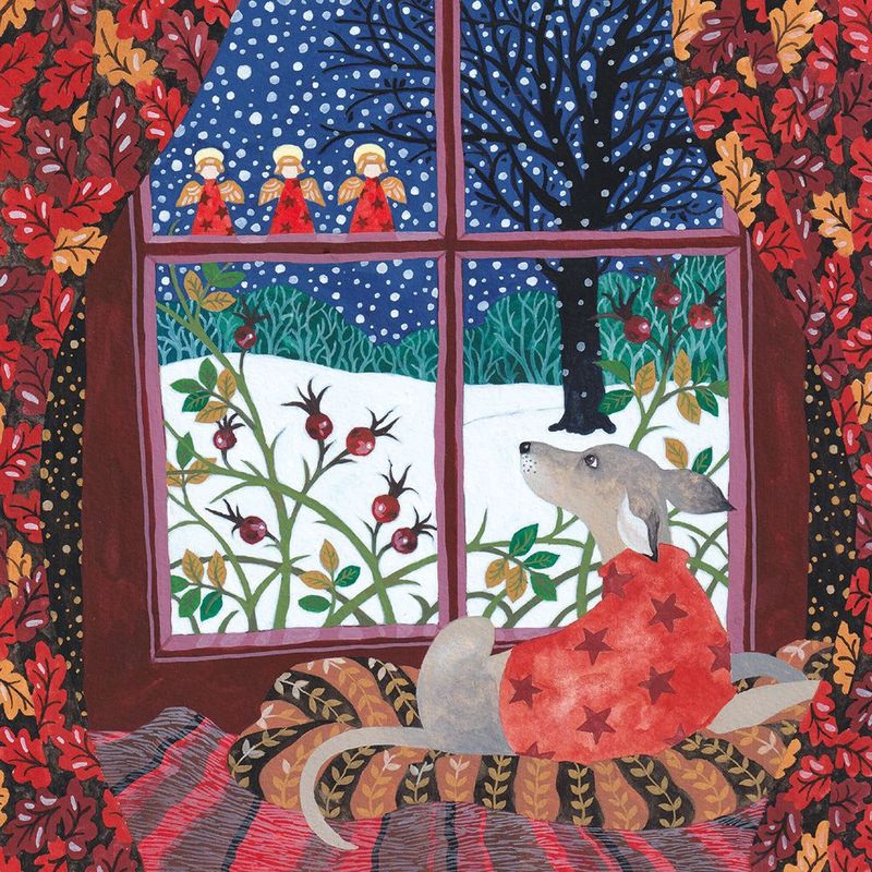 GCX Watching the Snow Pack of 5