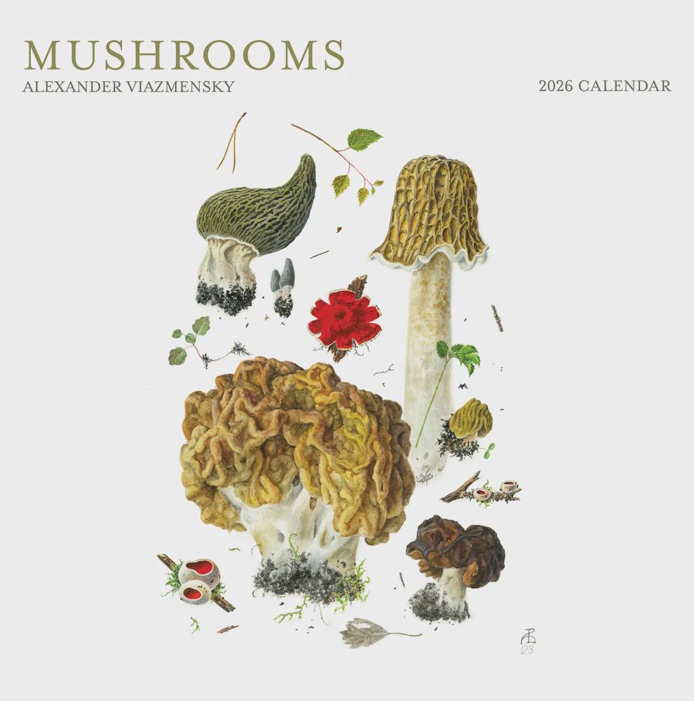 CA 2026 Pomegranate Large Wall Calendar Mushrooms:  Alexander Viazmensky