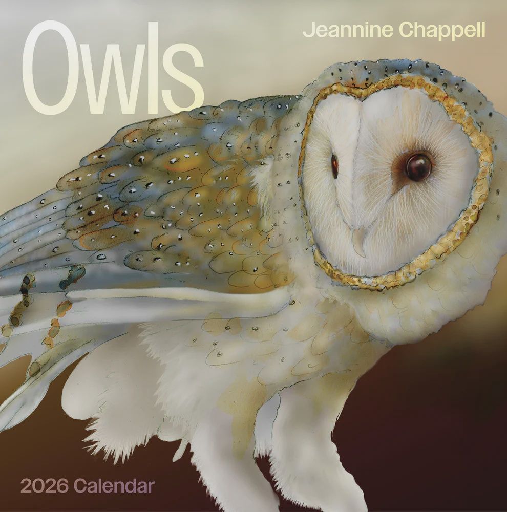 CA 2026 Pomegranate Large Wall Calendar Owls: Jeannine Chappell