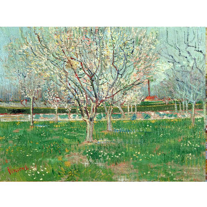 GC Van Gogh Orchard in Blossom 1888