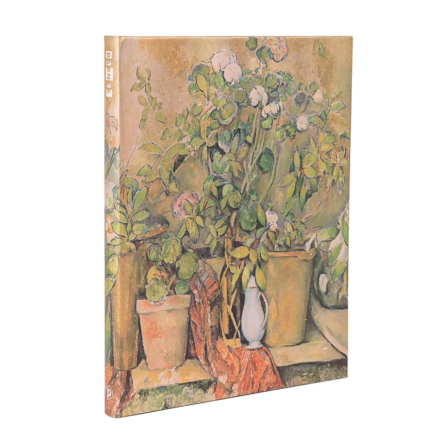 NB Cezanne&#39;s Teracotta Pots and Flowers Hardback