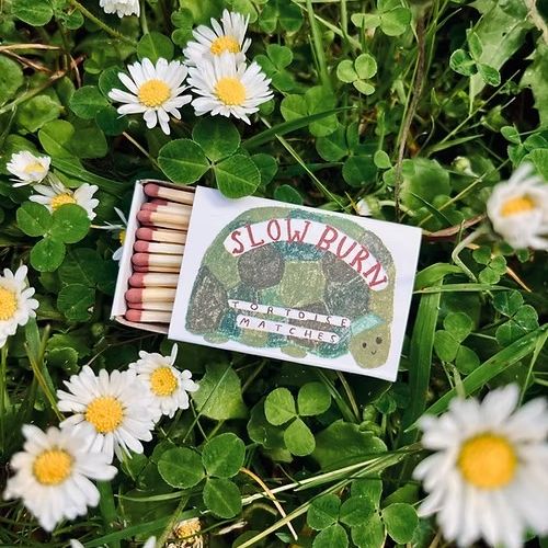 GF Slow Burn Tortoise Matches