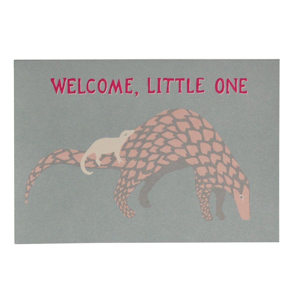 GCO Baby Pangolin (12)