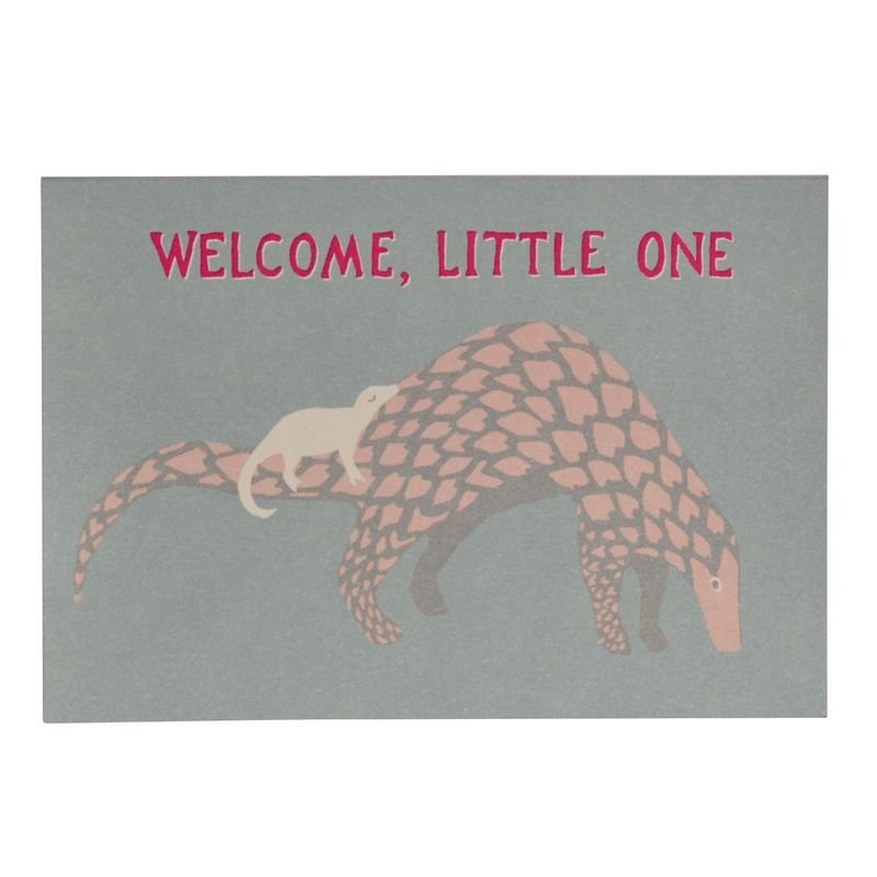 GCO Baby Pangolin (12)