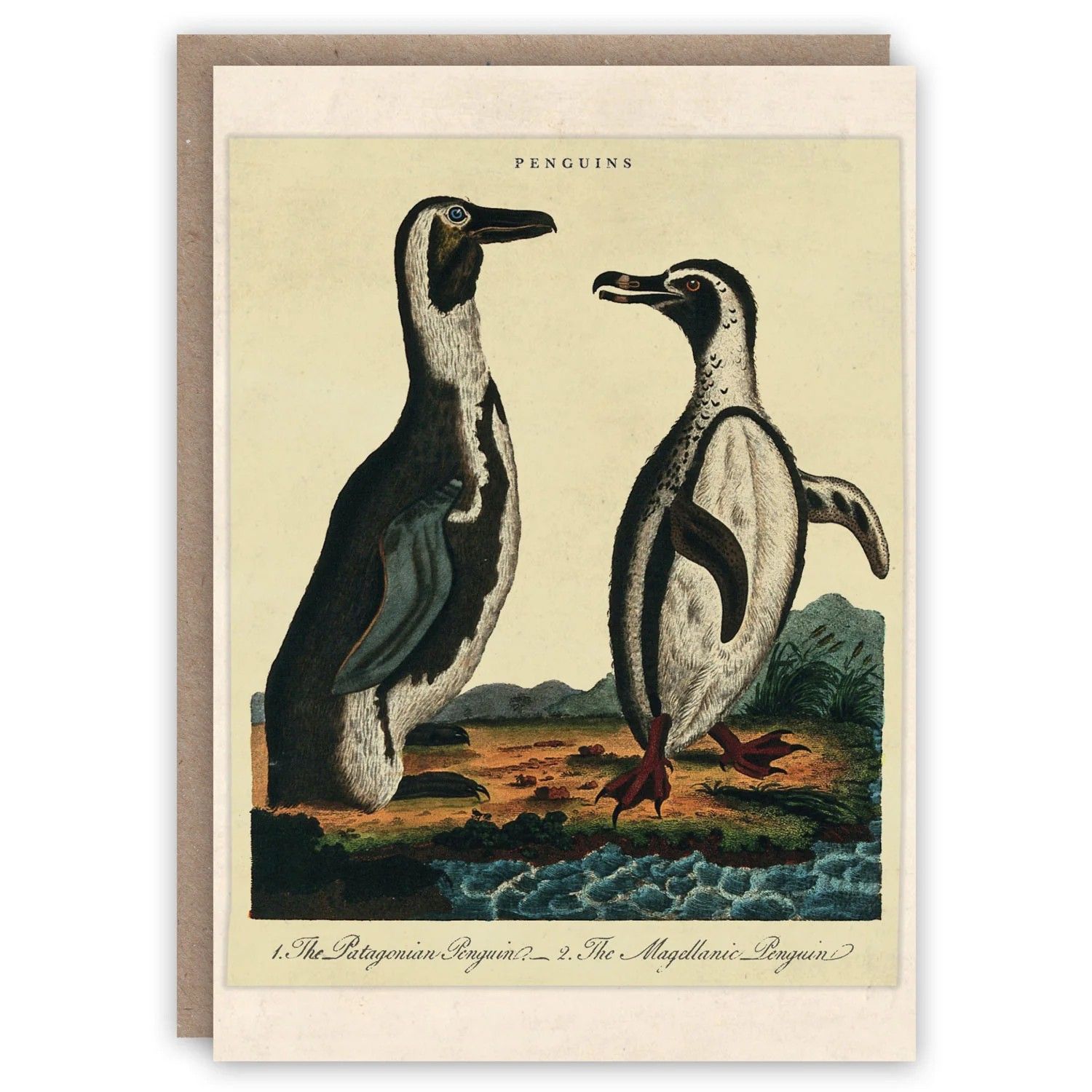 GCX Penguins Greeting Card