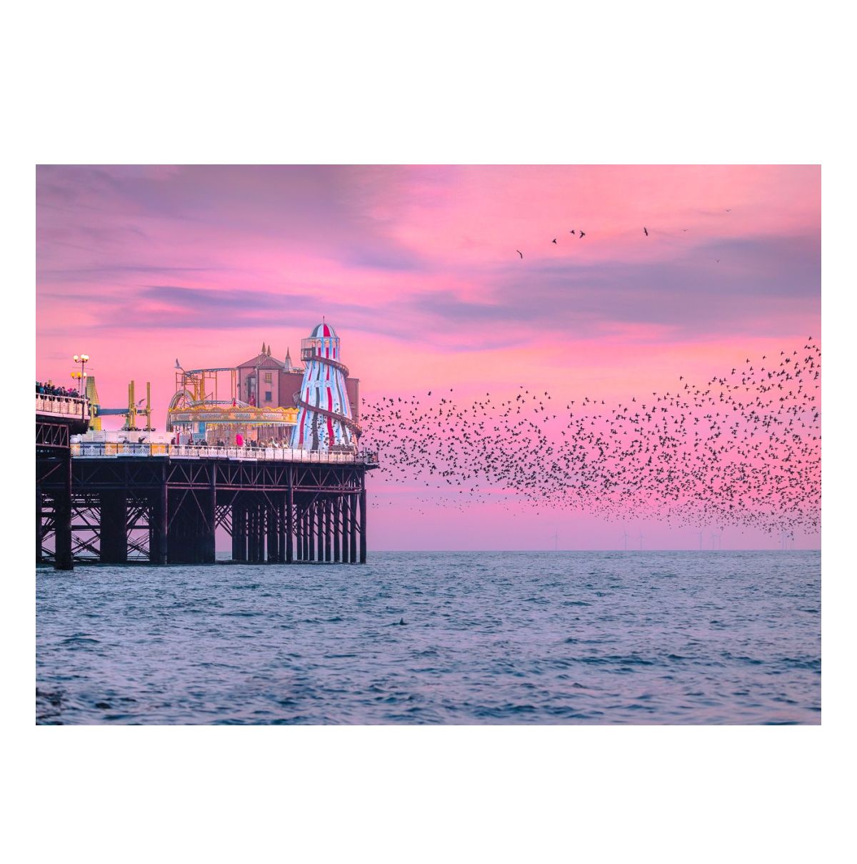 GC Helter Skelter Murmuration Long