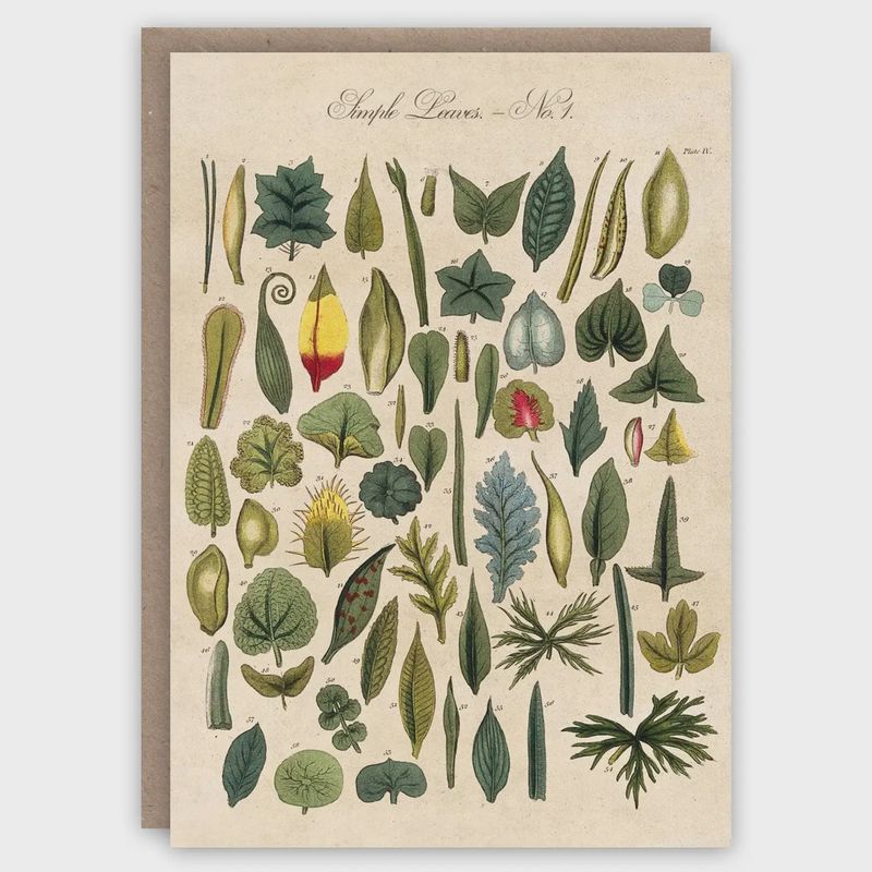 GC Simple Leaves Greeting Card