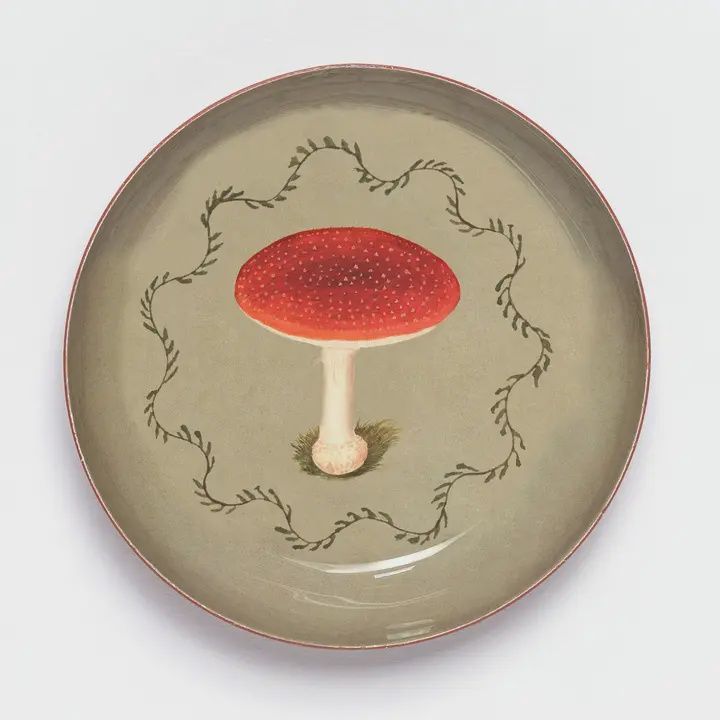 GF Mushroom Enamel Printed Tray - Round