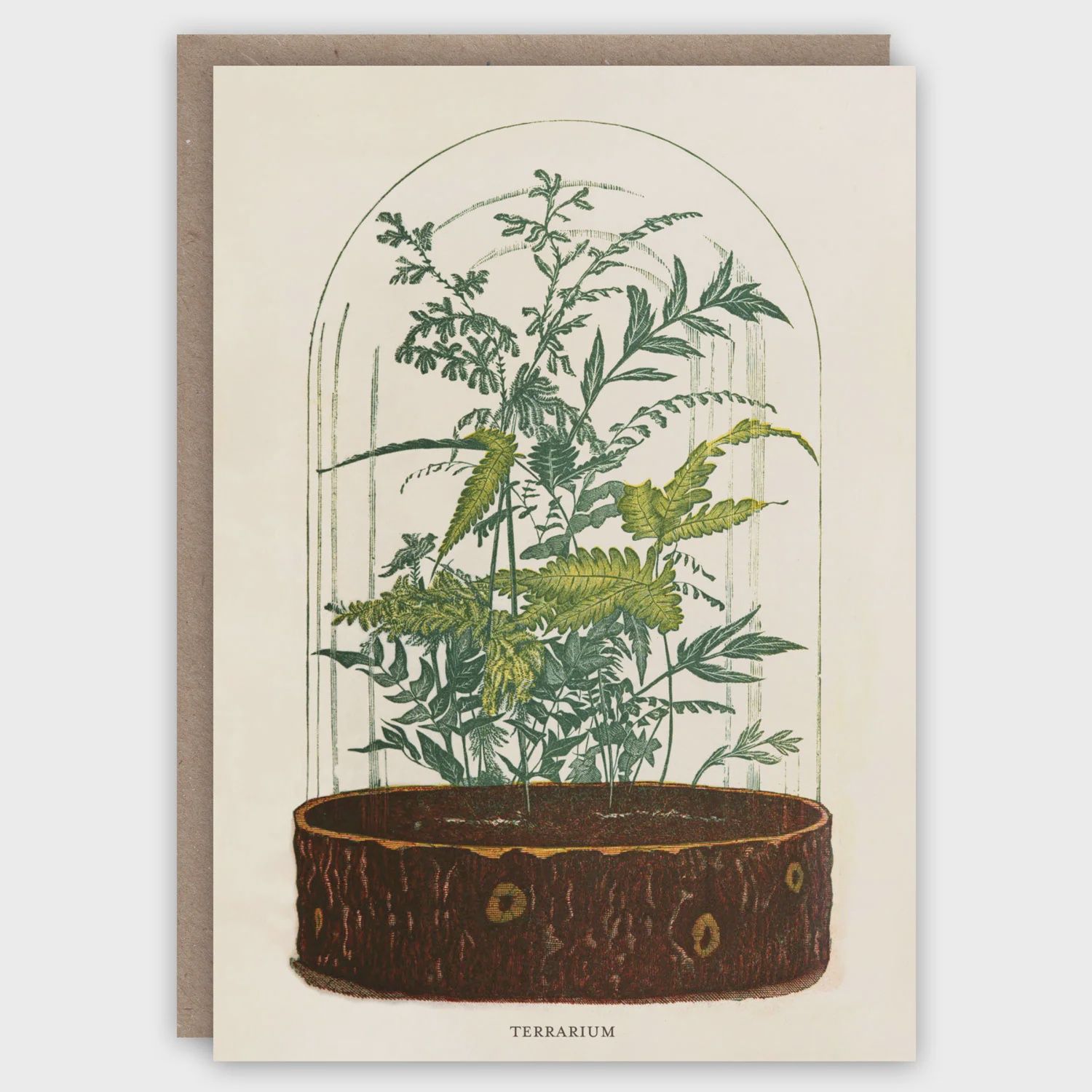 GC Terrarium Greeting Card