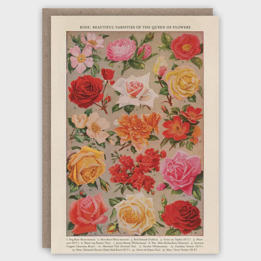 GC Roses Greeting Card