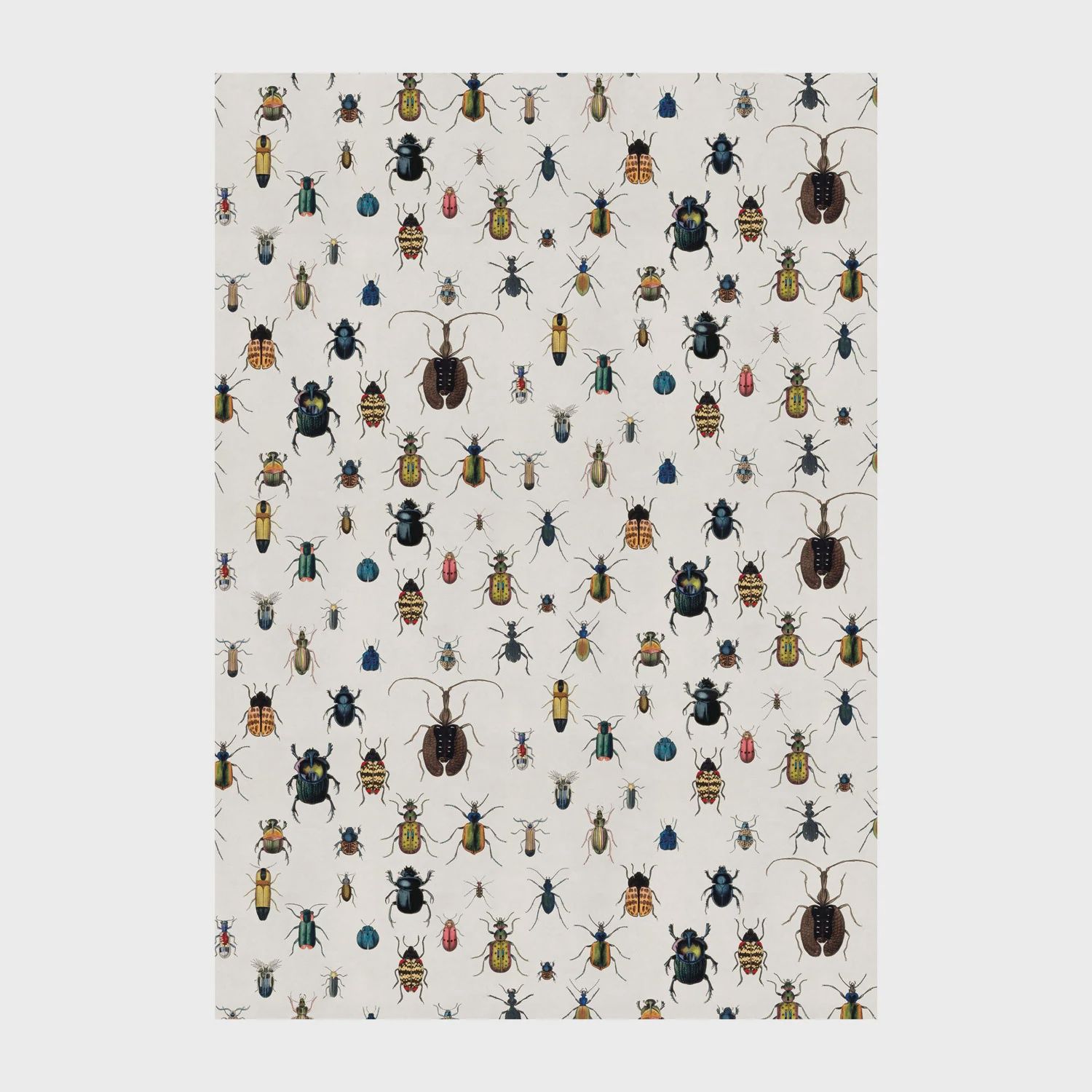 GW Bugs Poster-Wrap