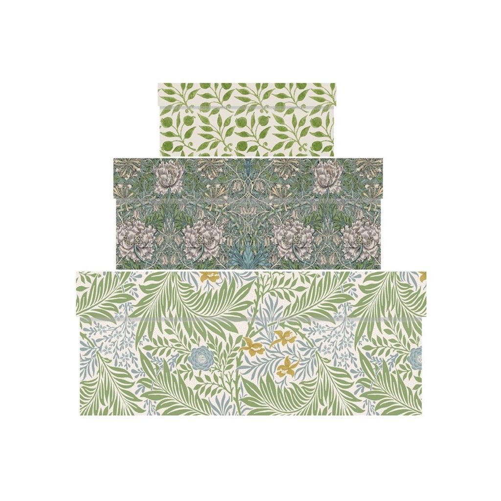 GBo Honeysuckle &amp; Tulip Morris &amp; Co. Gift Box - various sizes