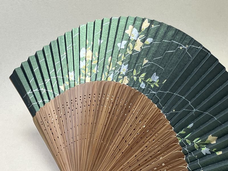 GF Chinese Bellflower on green Fan